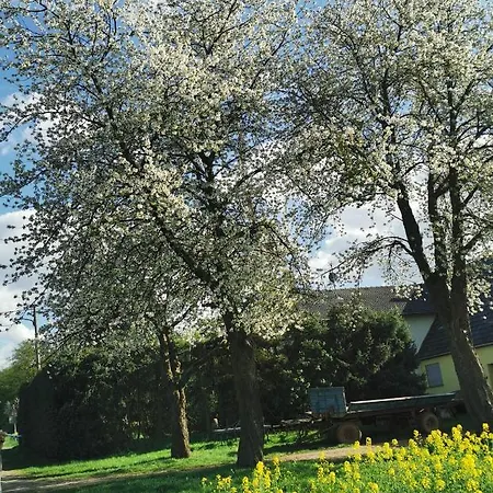 Landidylle Nassheck
